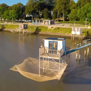 Options Pêcherie 104