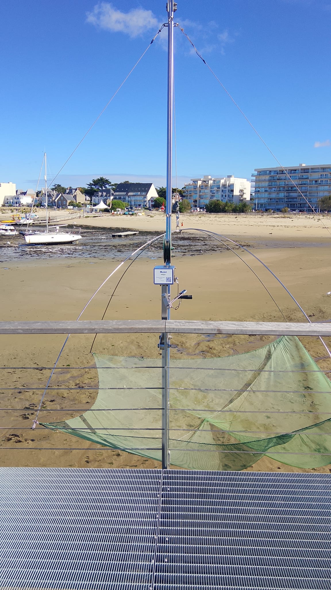 Activité carrelet "Mulet" au Vieux Môle de Pornichet